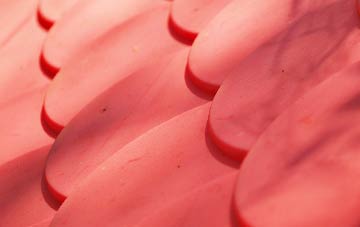 Wiveliscombe plastic roof costs